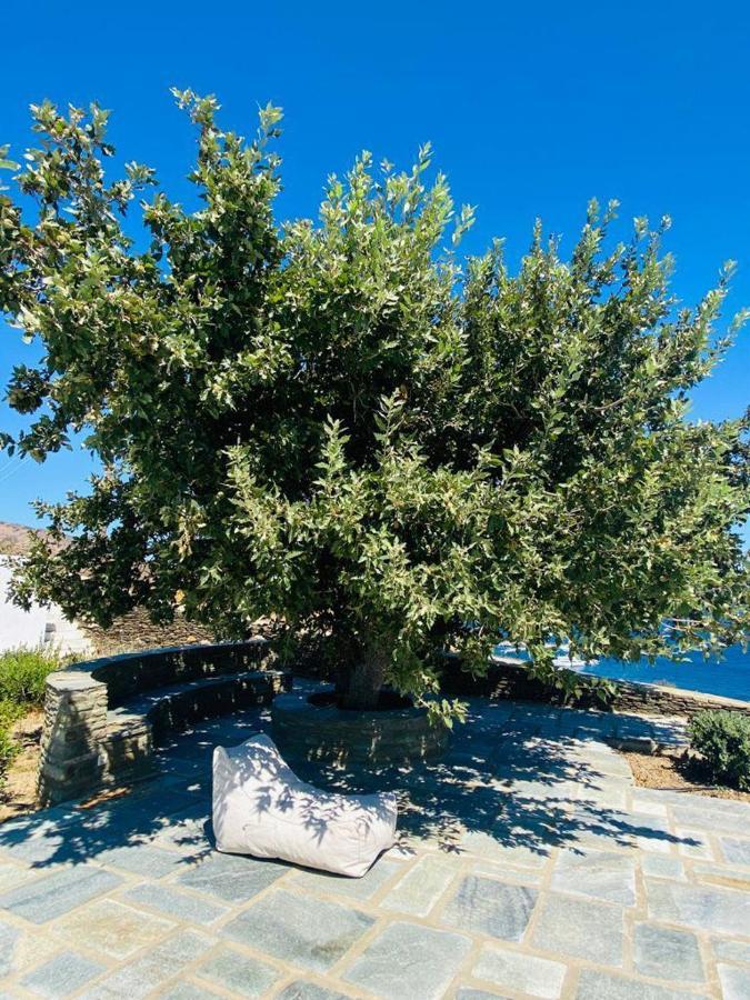 Harma Villas Andros Town Exterior photo